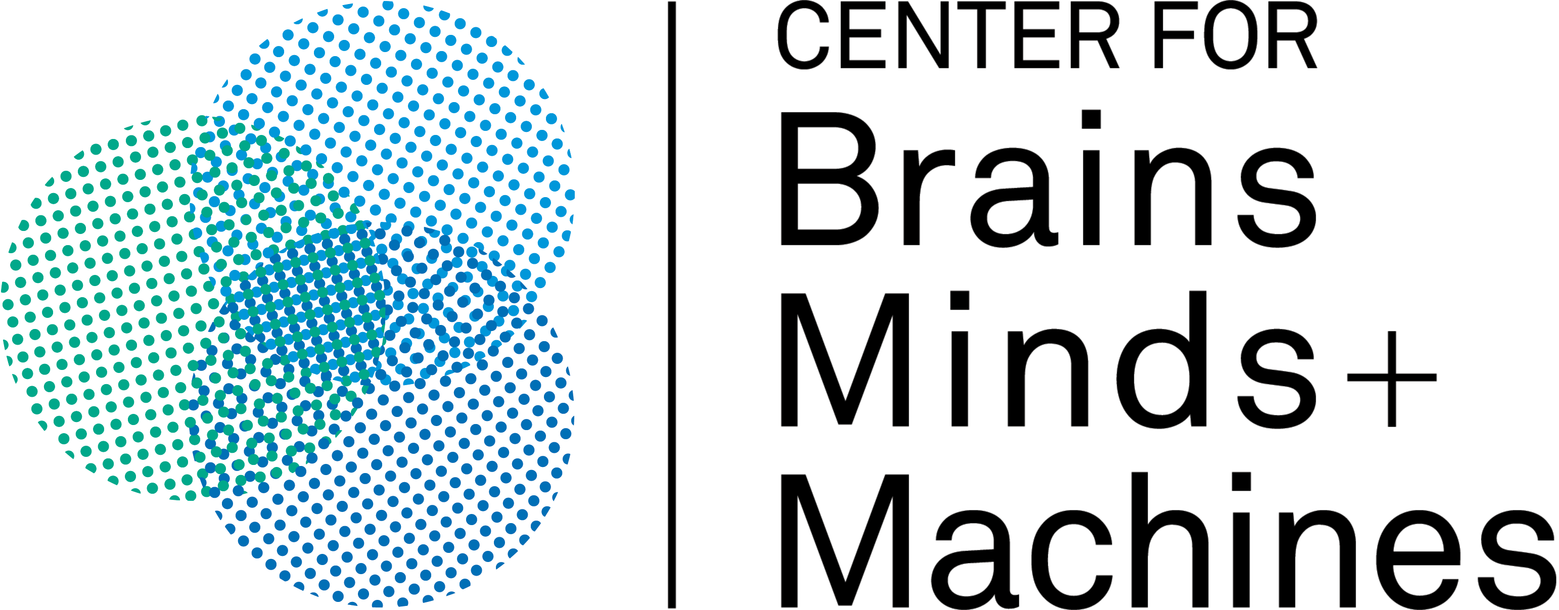 Center for Brains Minds and Machines, MIT