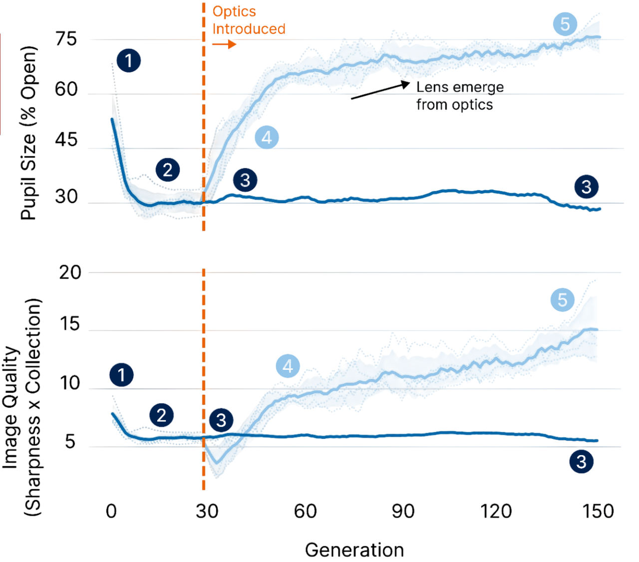 Pupil experiment visualization